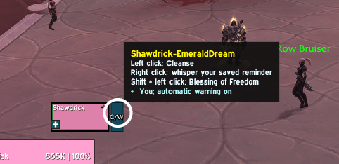 EllesmereUI companion — CurseForge screenshot 2